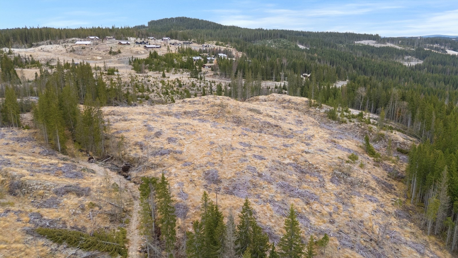 Mylla/Kingesnålen - Detaljregulert tomtefelt selges samlet - Totalt 26 mål - 8 fradelte tomter til hyttebebyggelse Galleribilde