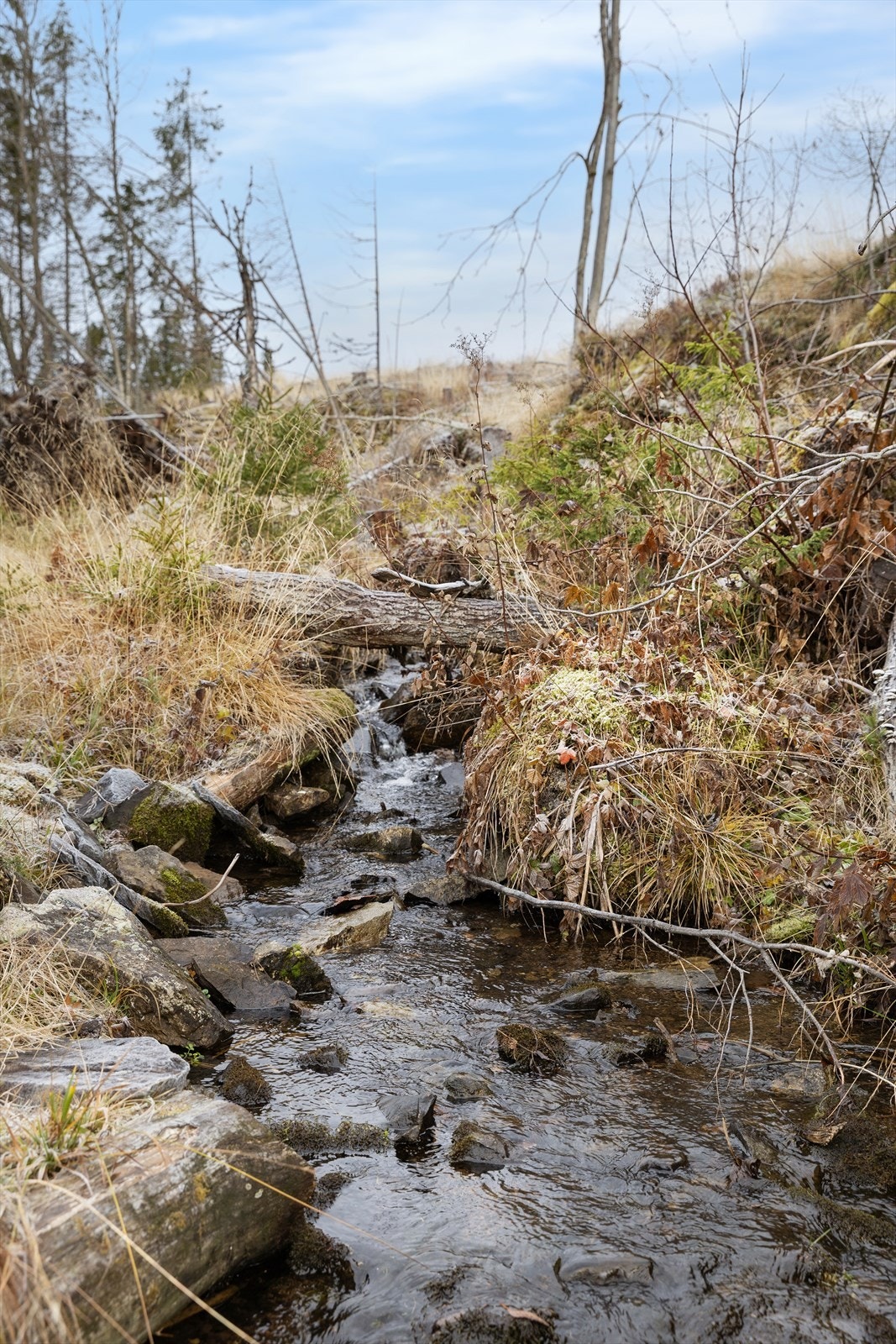 Mylla/Kingesnålen - Detaljregulert tomtefelt selges samlet - Totalt 26 mål - 8 fradelte tomter til hyttebebyggelse Galleribilde