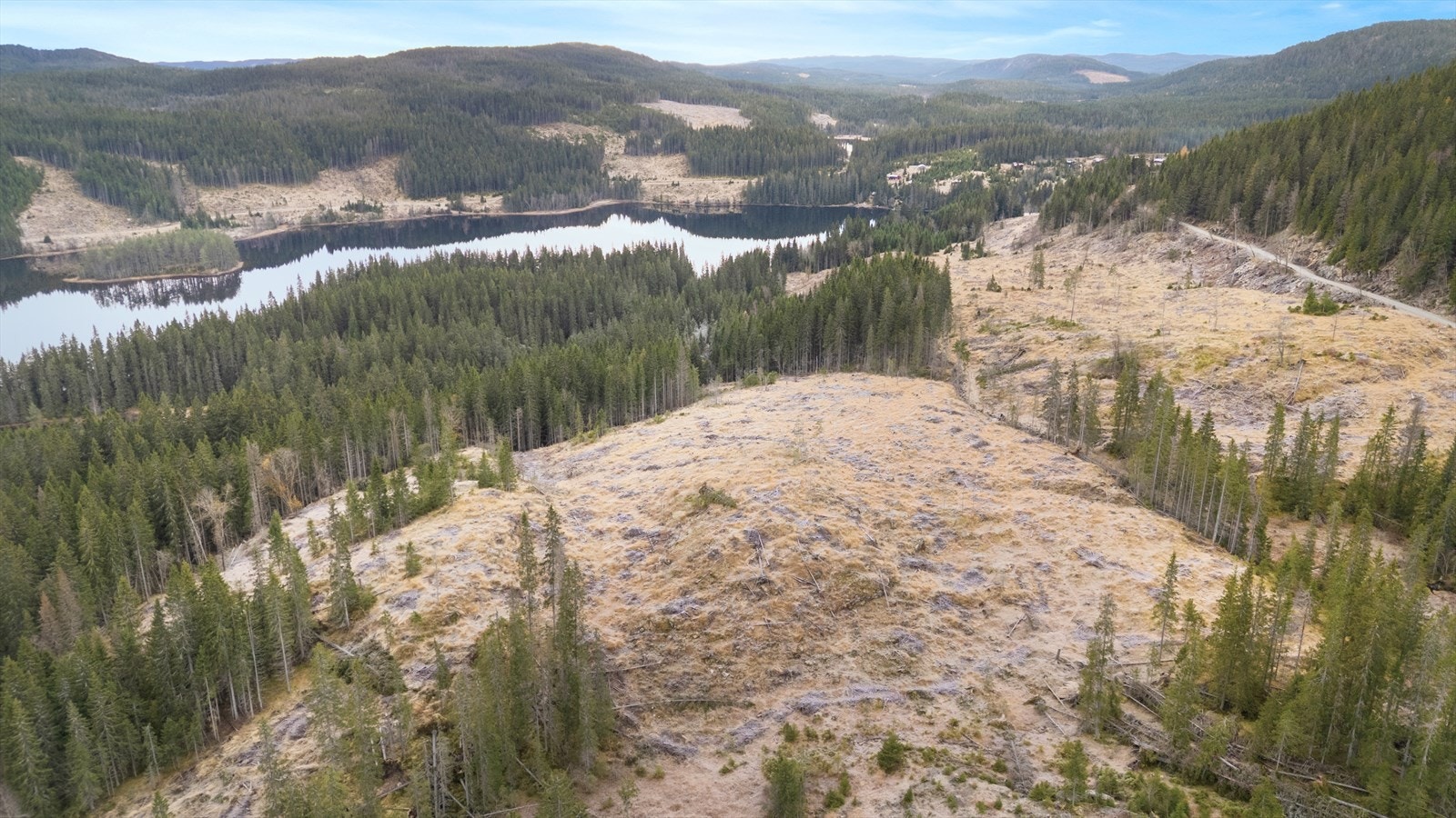 Mylla/Kingesnålen - Detaljregulert tomtefelt selges samlet - Totalt 26 mål - 8 fradelte tomter til hyttebebyggelse Galleribilde