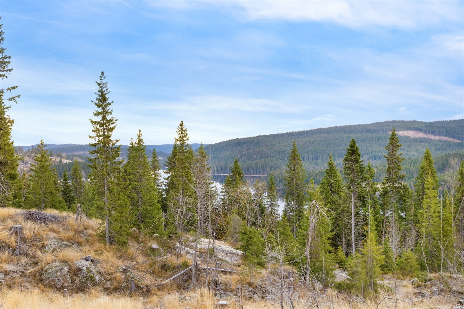 Mylla/Kingesnålen - Detaljregulert tomtefelt selges samlet - Totalt 26 mål - 8 fradelte tomter til hyttebebyggelse Galleribilde