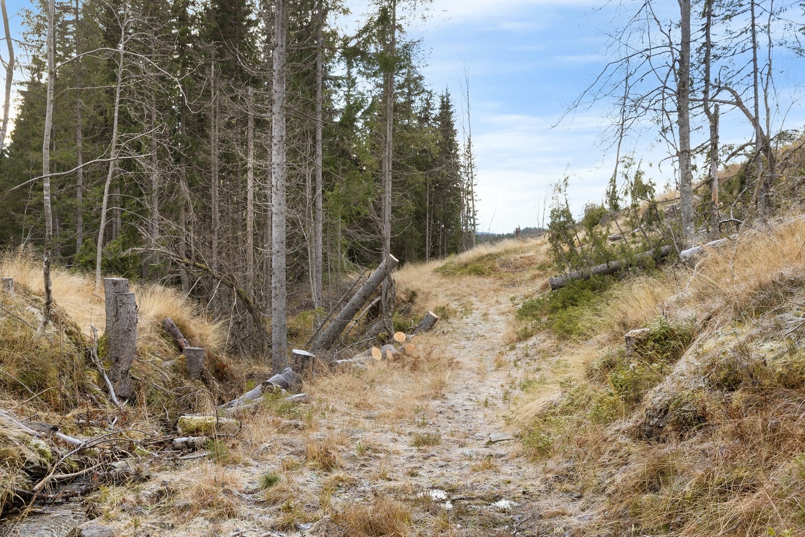 Mylla/Kingesnålen - Detaljregulert tomtefelt selges samlet - Totalt 26 mål - 8 fradelte tomter til hyttebebyggelse Galleribilde