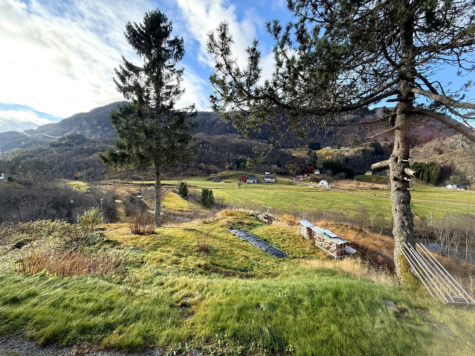 Flott utsikt Galleribilde