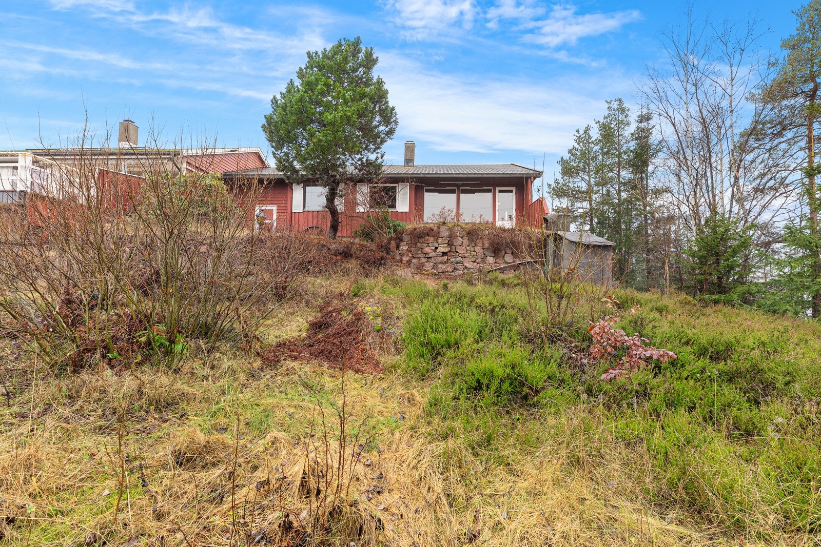 Naturtomt Galleribilde