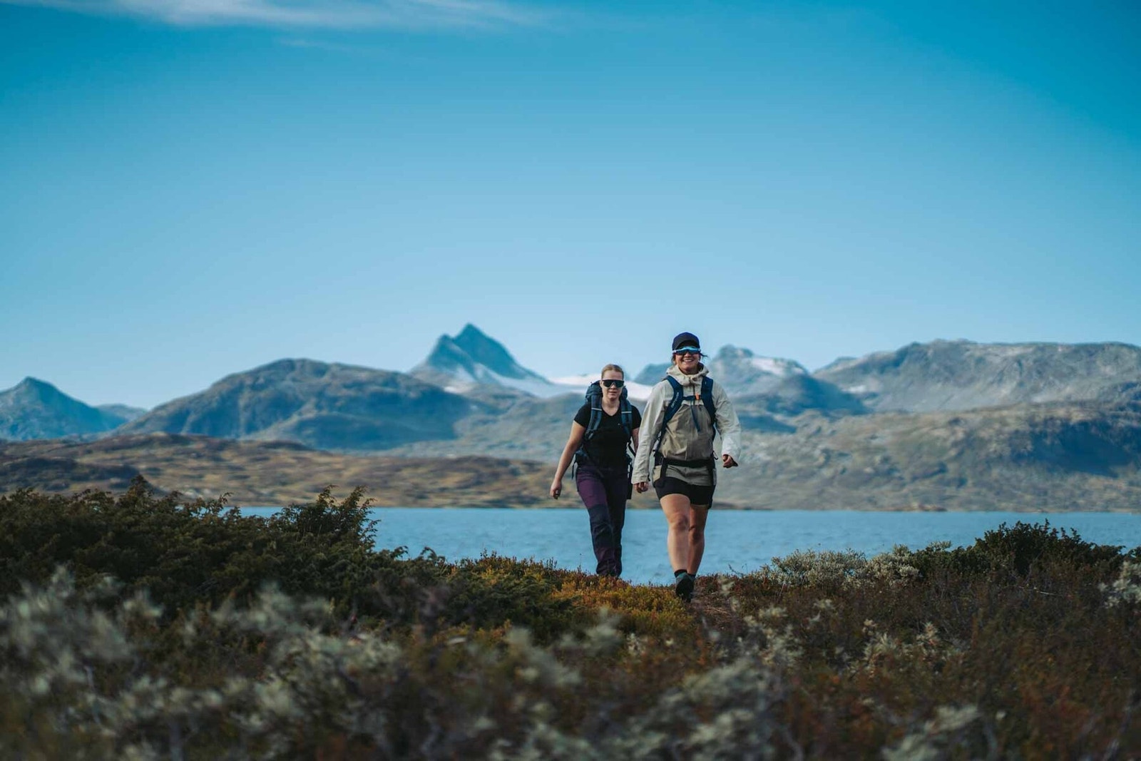 Flott landskap! Galleribilde