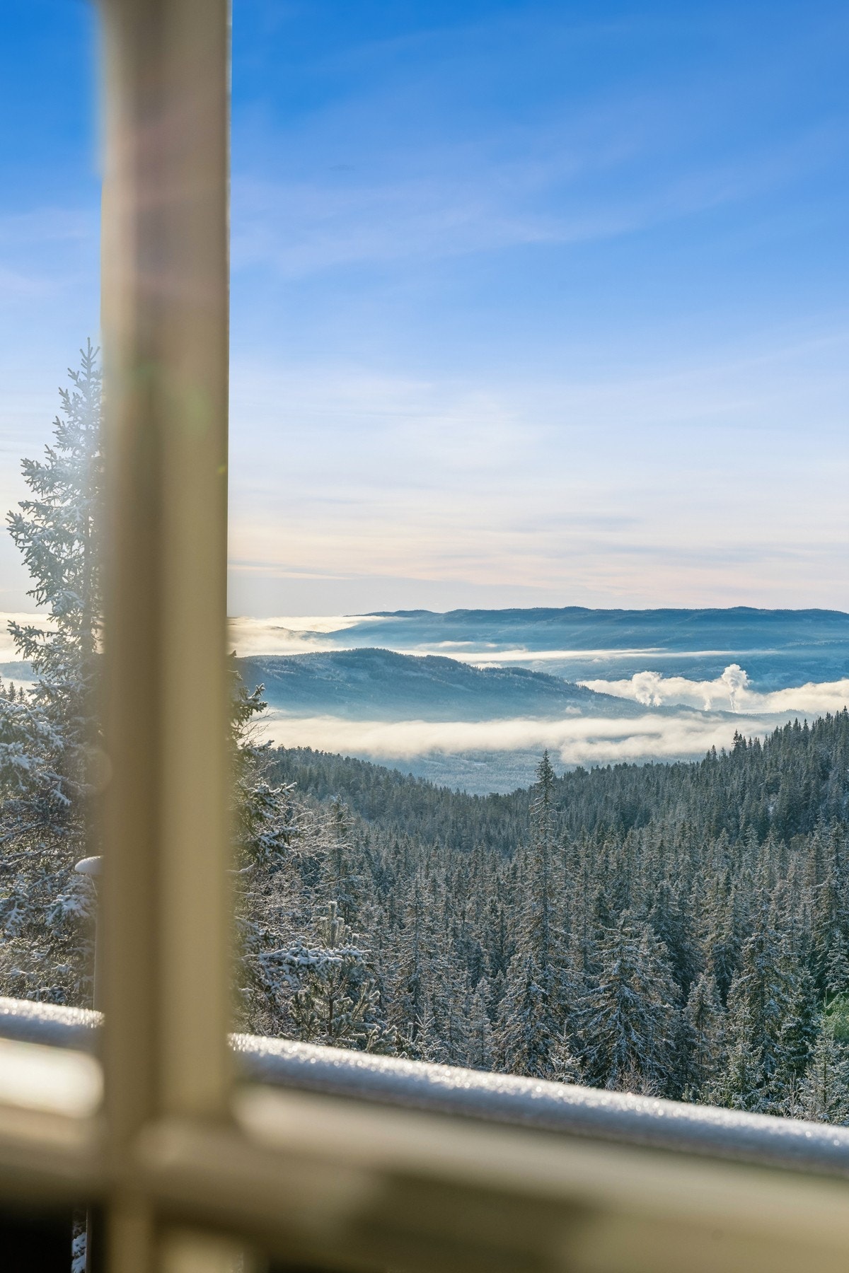 Drøm deg bort. Galleribilde