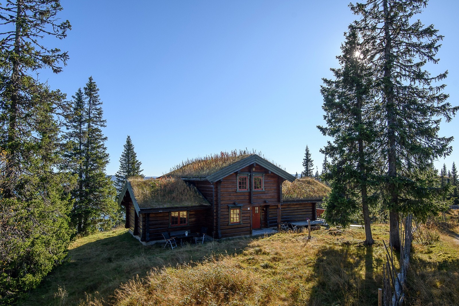 Store deler av tomten er naturtomt. Galleribilde