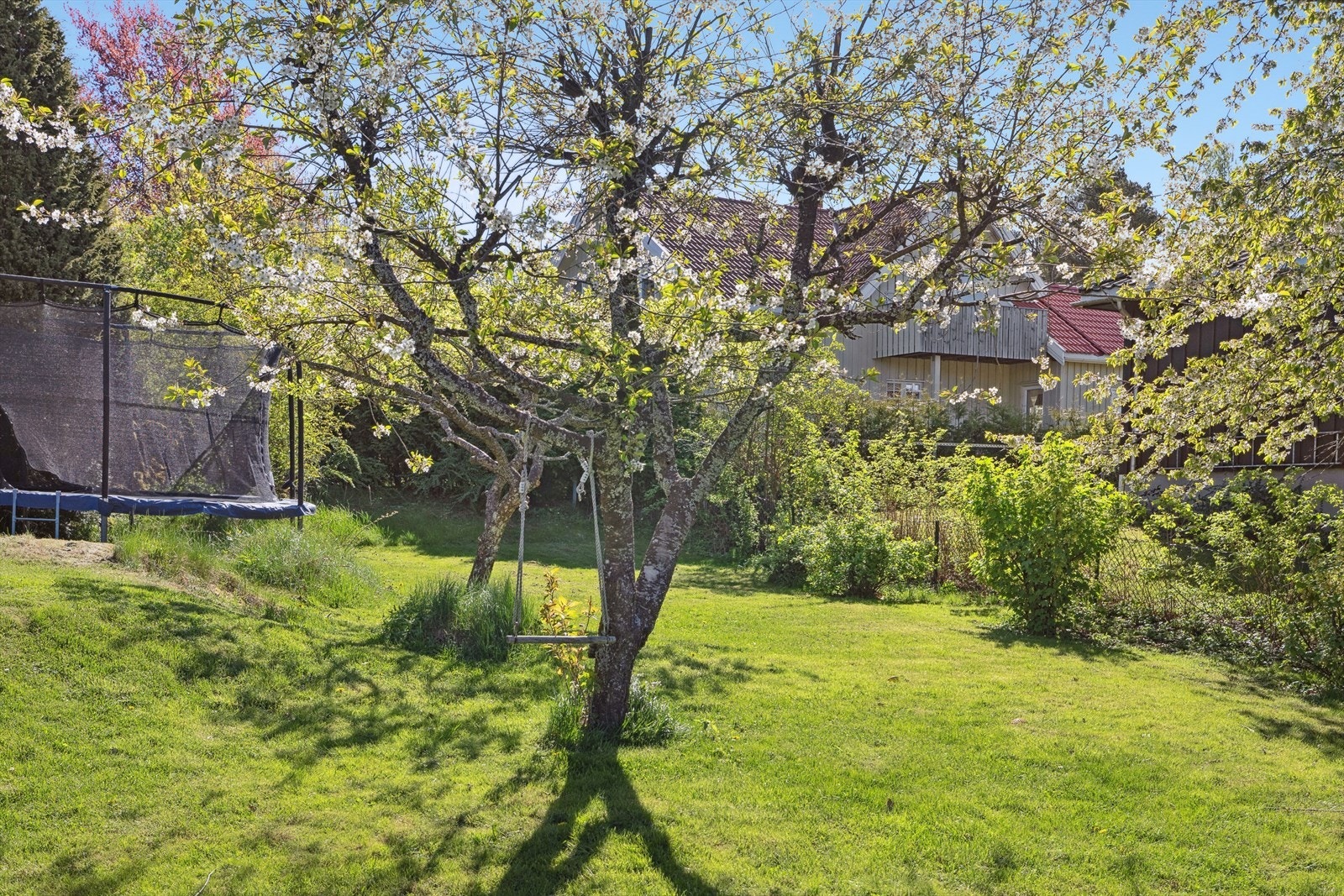 Her bor man i skjønne omgivelser. Galleribilde