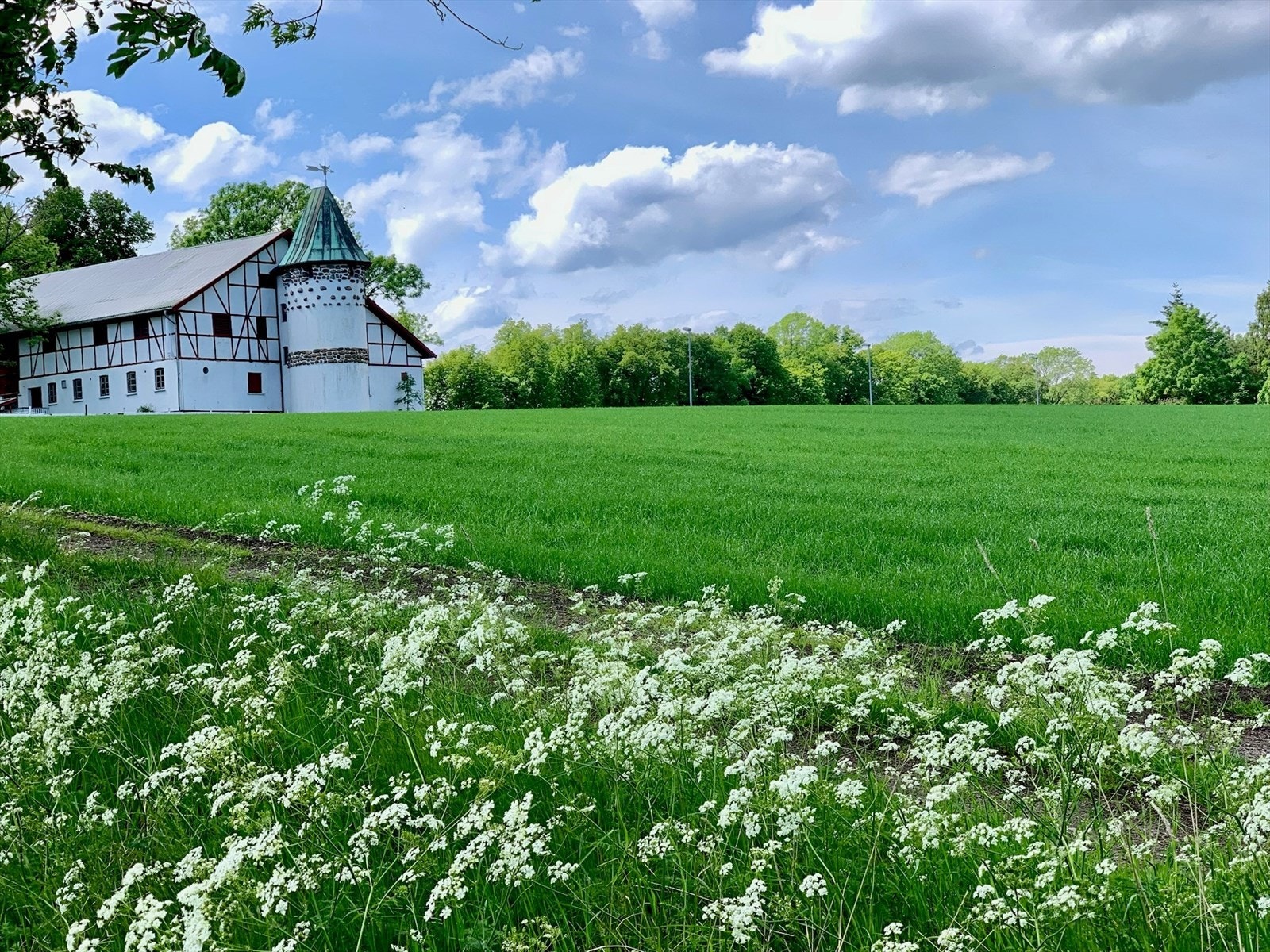 Flotte turmuligheter på Jeløya. Selgers private bilde. Galleribilde