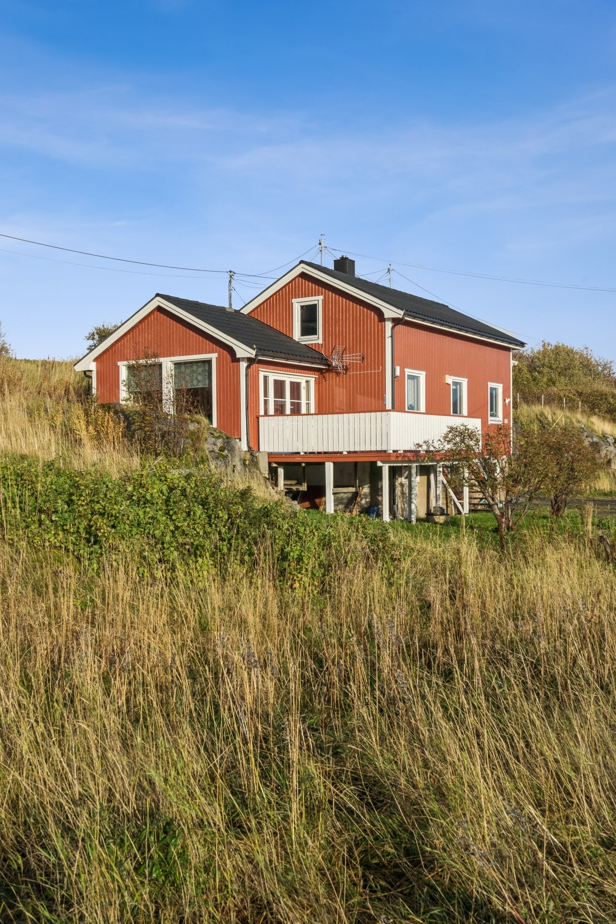Deler av tomten fremstår som naturtomt med noe anlagt plen på fremsiden av boligen. Galleribilde
