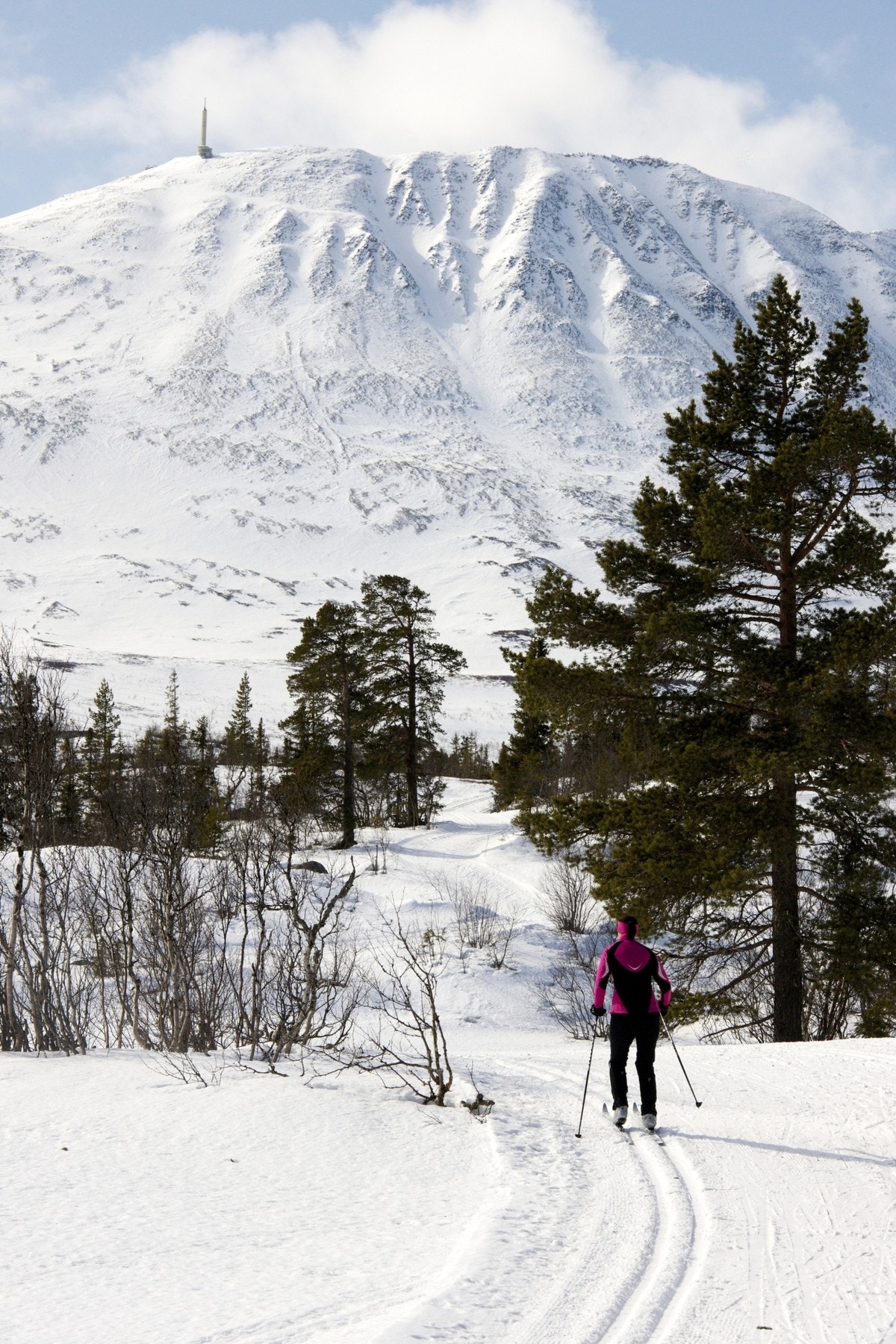 Langrennsløypene på Gausta byr på variert og naturskjønt terreng. Galleribilde