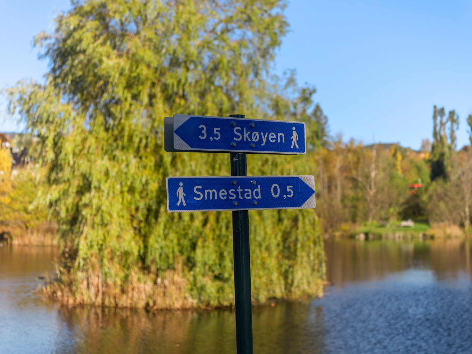 Sentralt beliggenhet Galleribilde