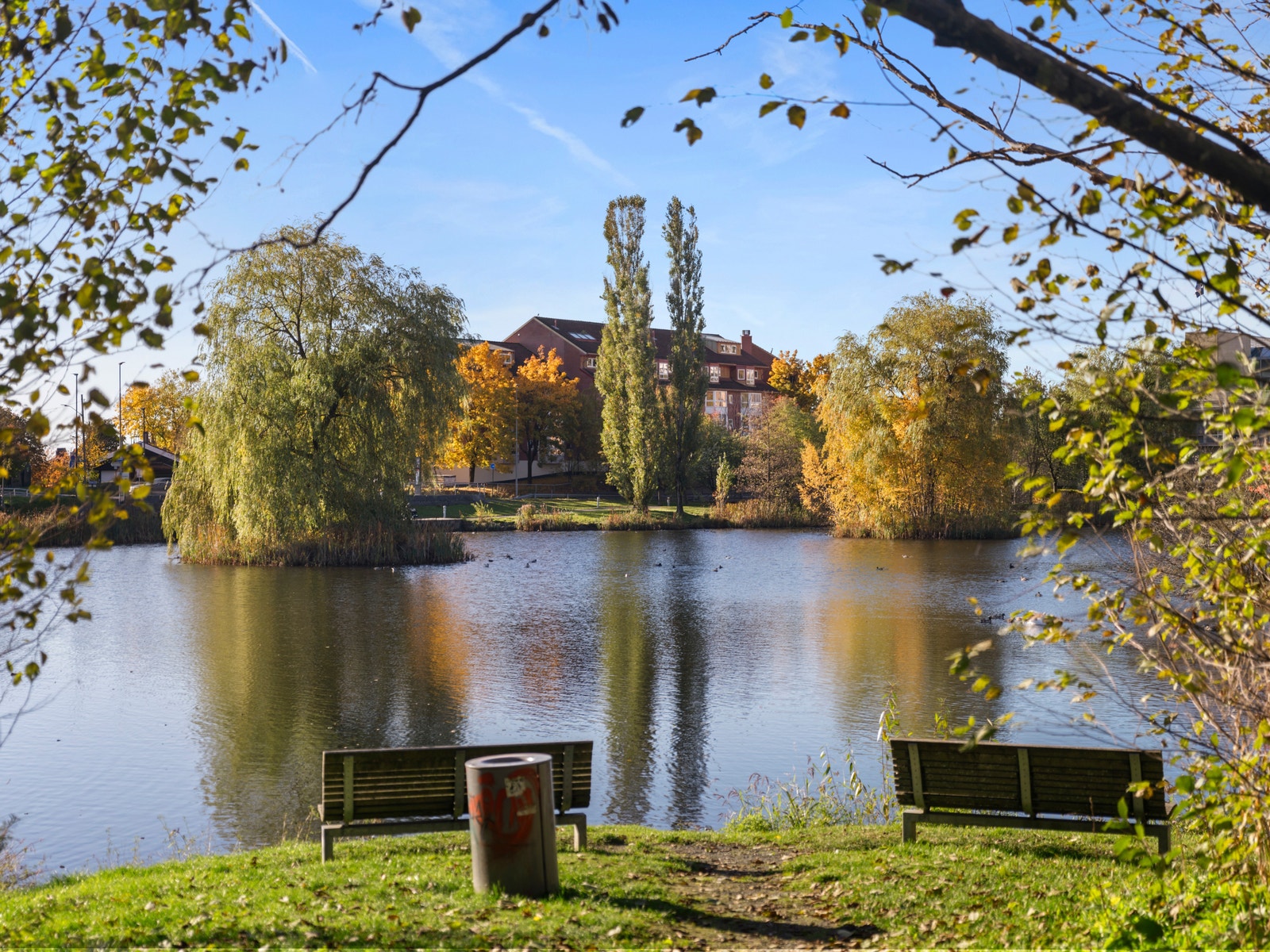 Smestaddammen – bynær naturperle for både avslapping og aktivitet. Galleribilde