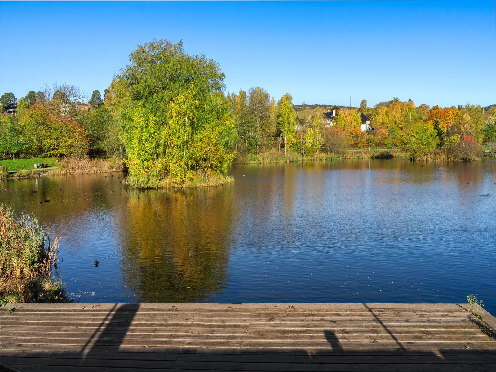 Smestaddammen – idyllisk vann og grøntområde rett i nærheten, perfekt for både joggetur og piknik. Galleribilde