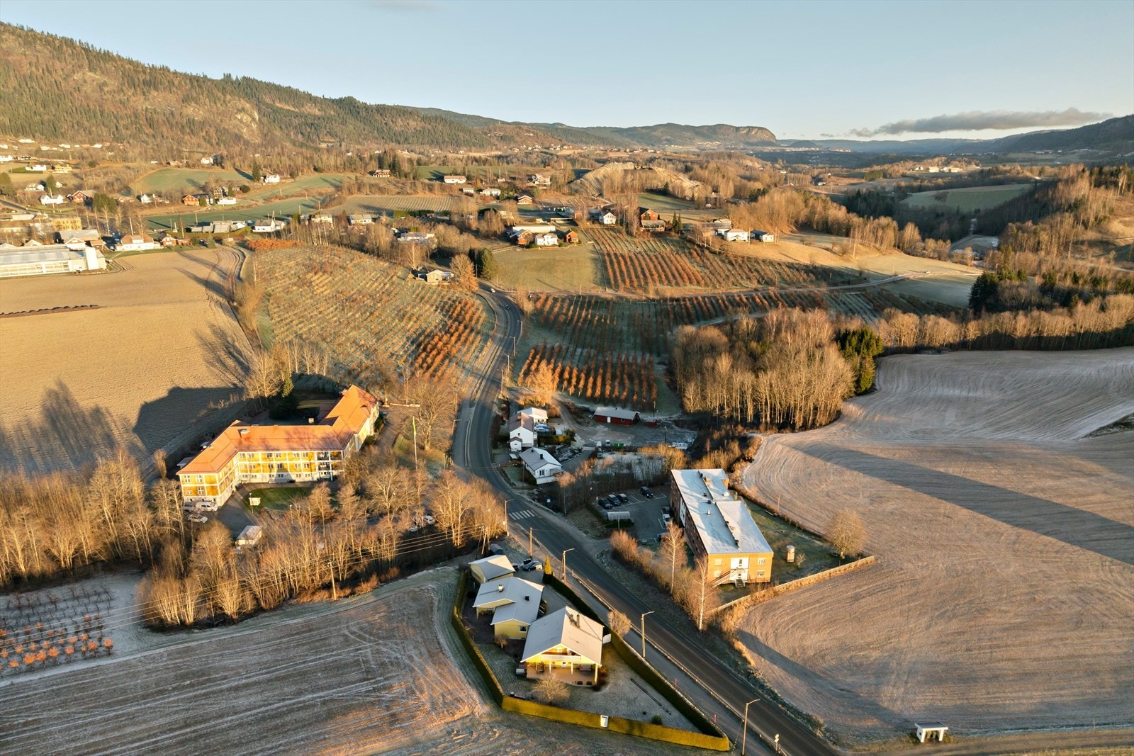 Velkommen til en hyggelig visning! Galleribilde
