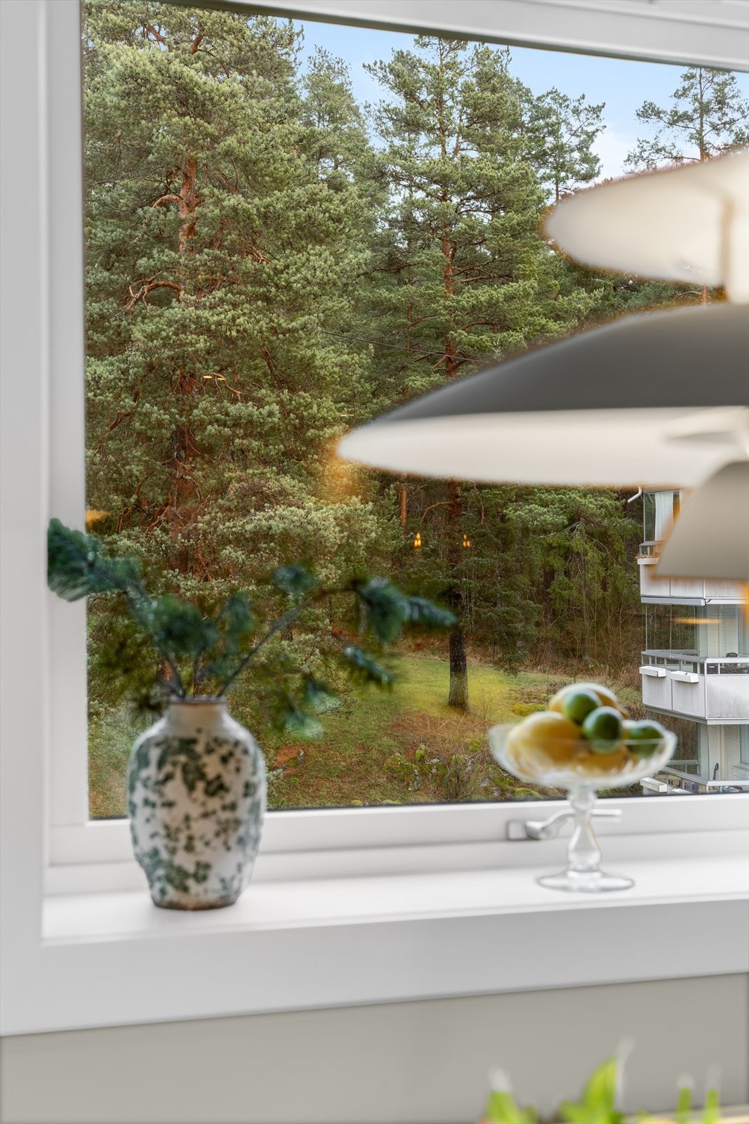 Nydelig utsyn over skogholt fra vinduene. Galleribilde