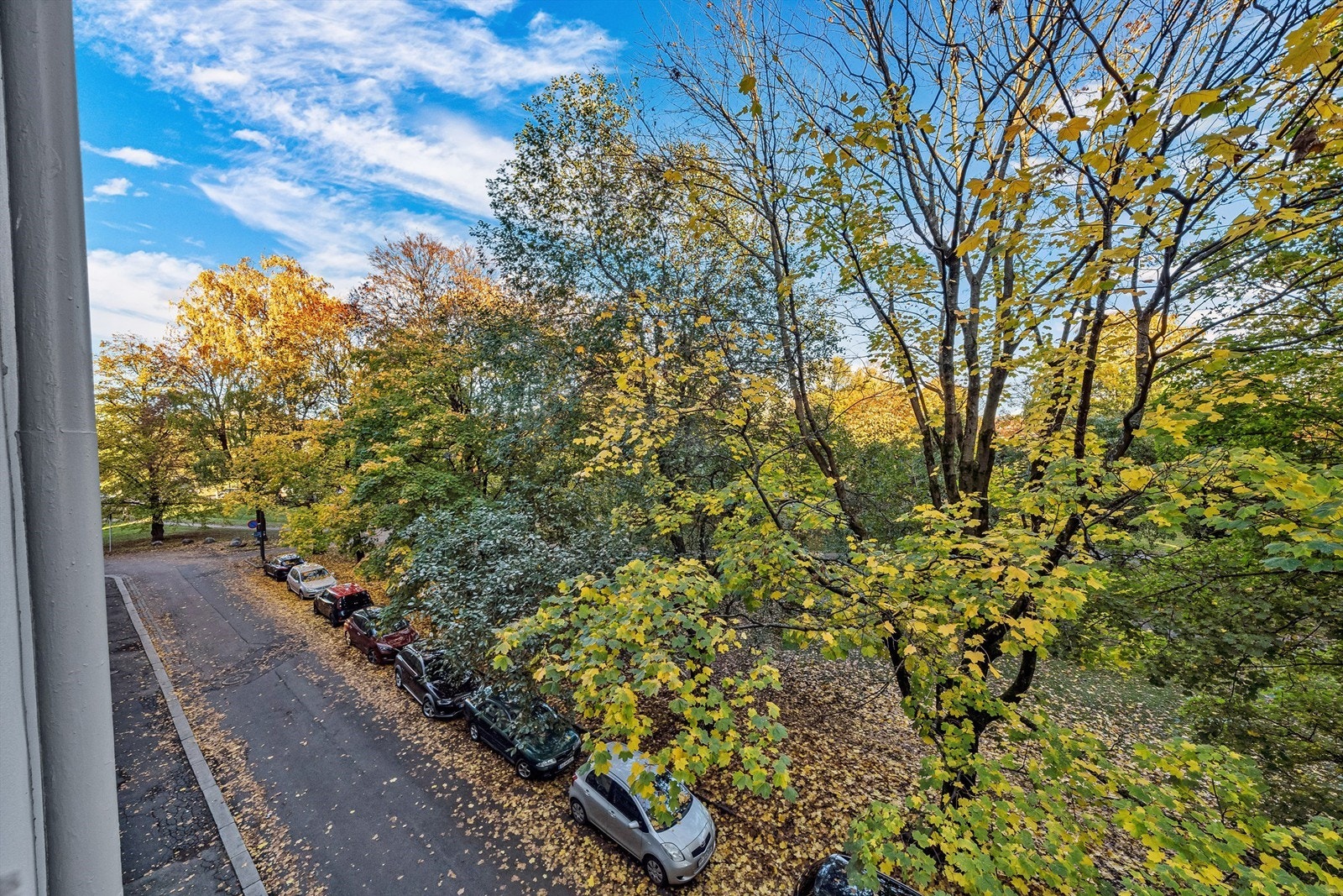 Her kan du nyte fuglekvitter midt i byen - sjeldent! Galleribilde