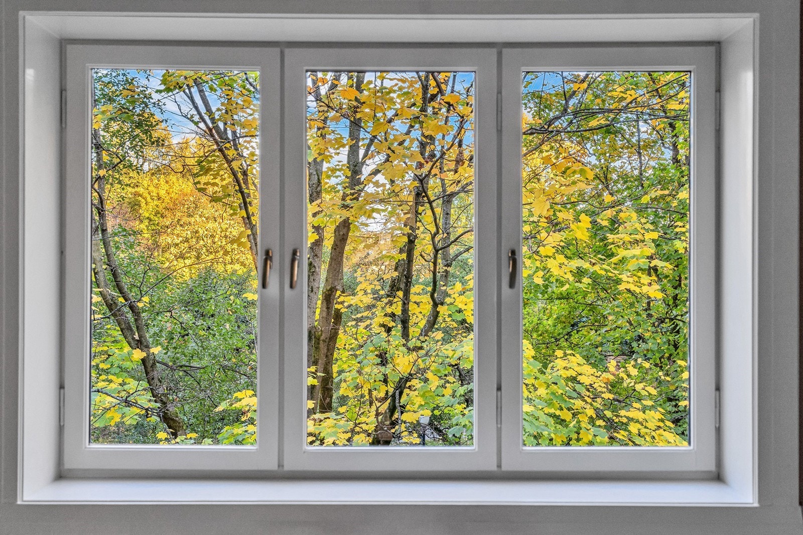 Utsyn mot Hallénparken som gir en hyggelig stemning gjennom alle årets årstider Galleribilde