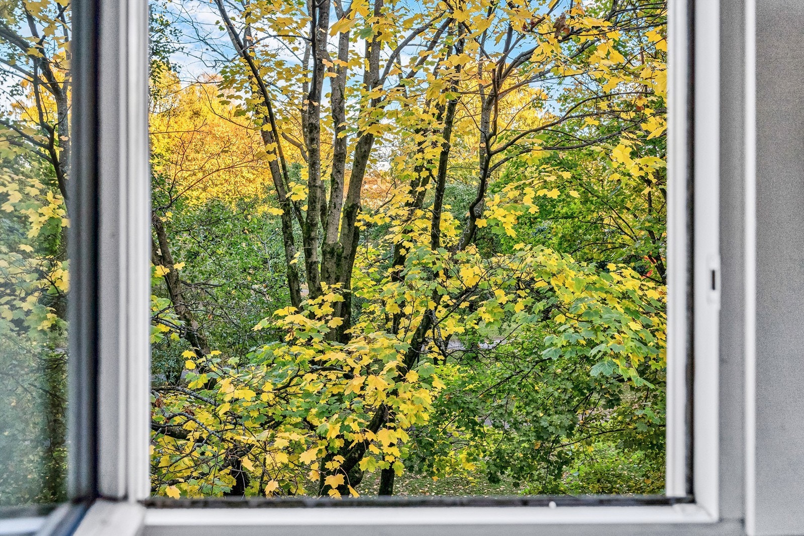 Her kan man med andre ord sove med soveromsvinduet åpent hele året Galleribilde