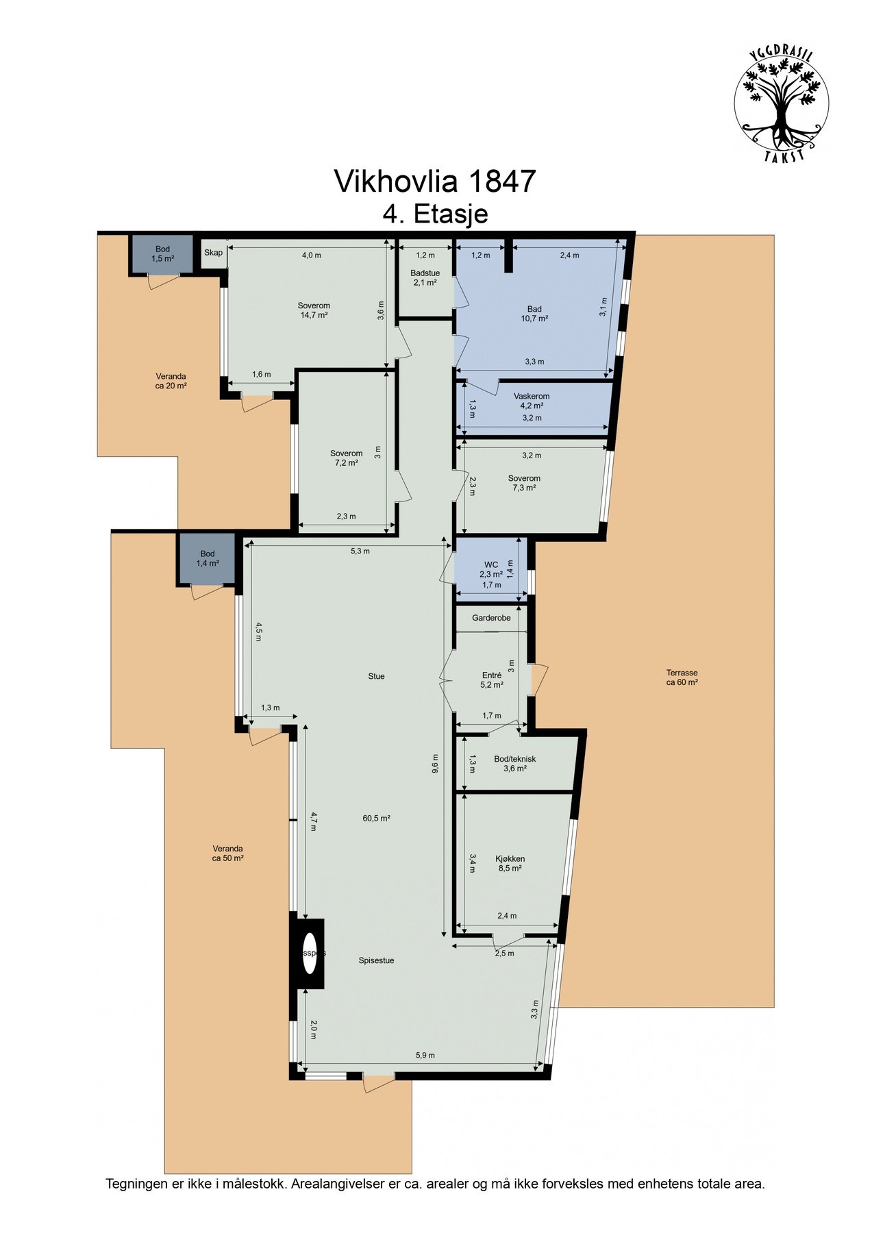 Plantegning. Galleribilde