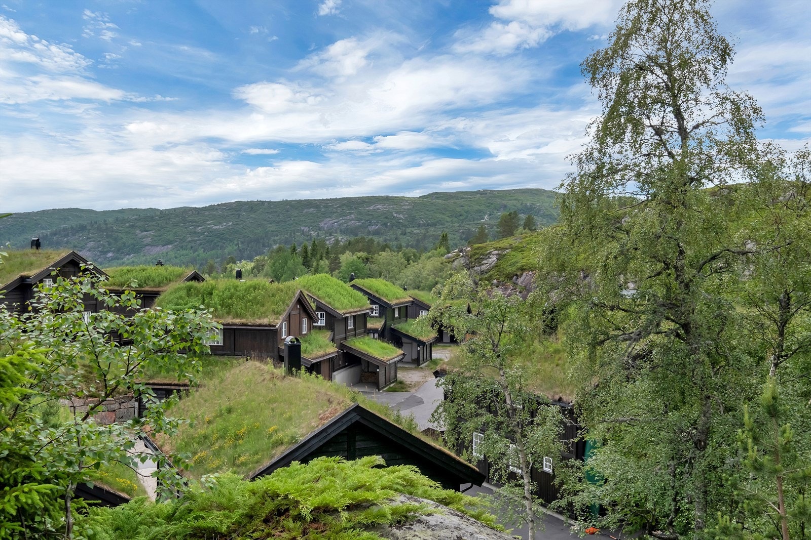 Utsikt. Galleribilde