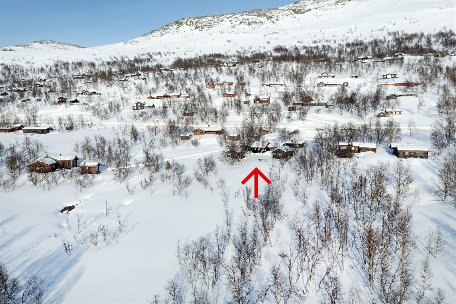 Tunet ligger på "myggfri" høyde på ca. 888 meter Galleribilde