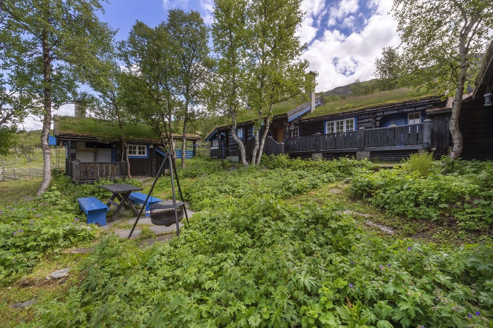 Usjenert uteområde inne på tunet Galleribilde