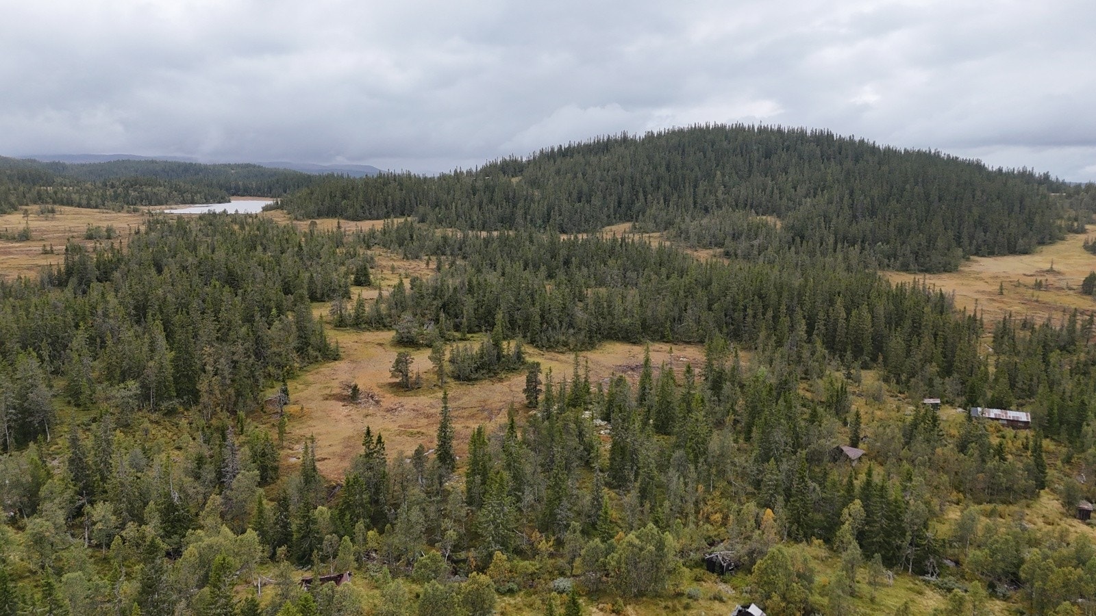 Utmarka på eiendommen er naturskjønn og har flere fiskevann Galleribilde