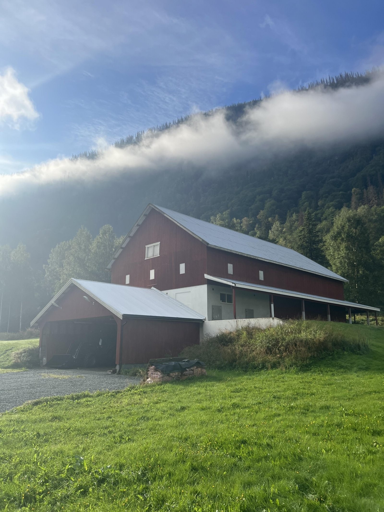 Selgers egne sommerbilder Galleribilde