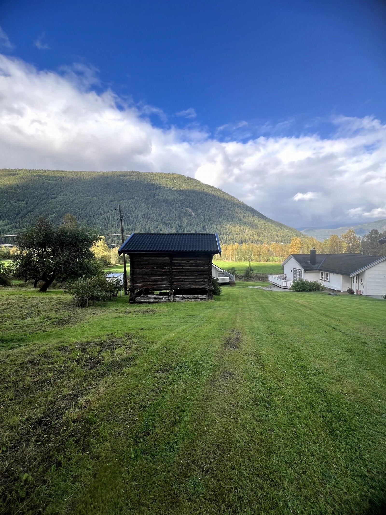 Selgers egne sommerbilder Galleribilde