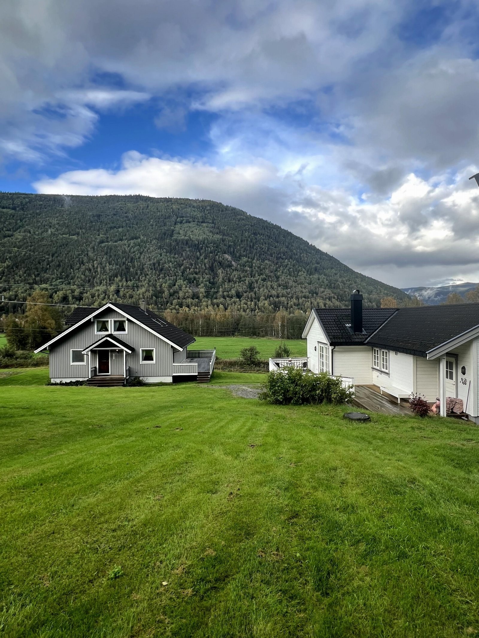 Selgers egne sommerbilder Galleribilde