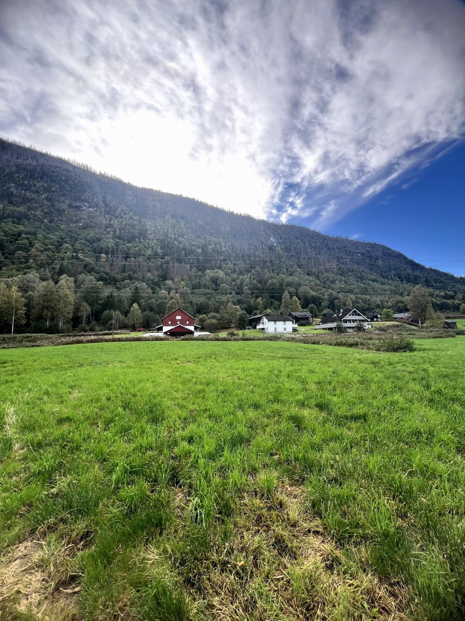 Selgers egne sommerbilder Galleribilde