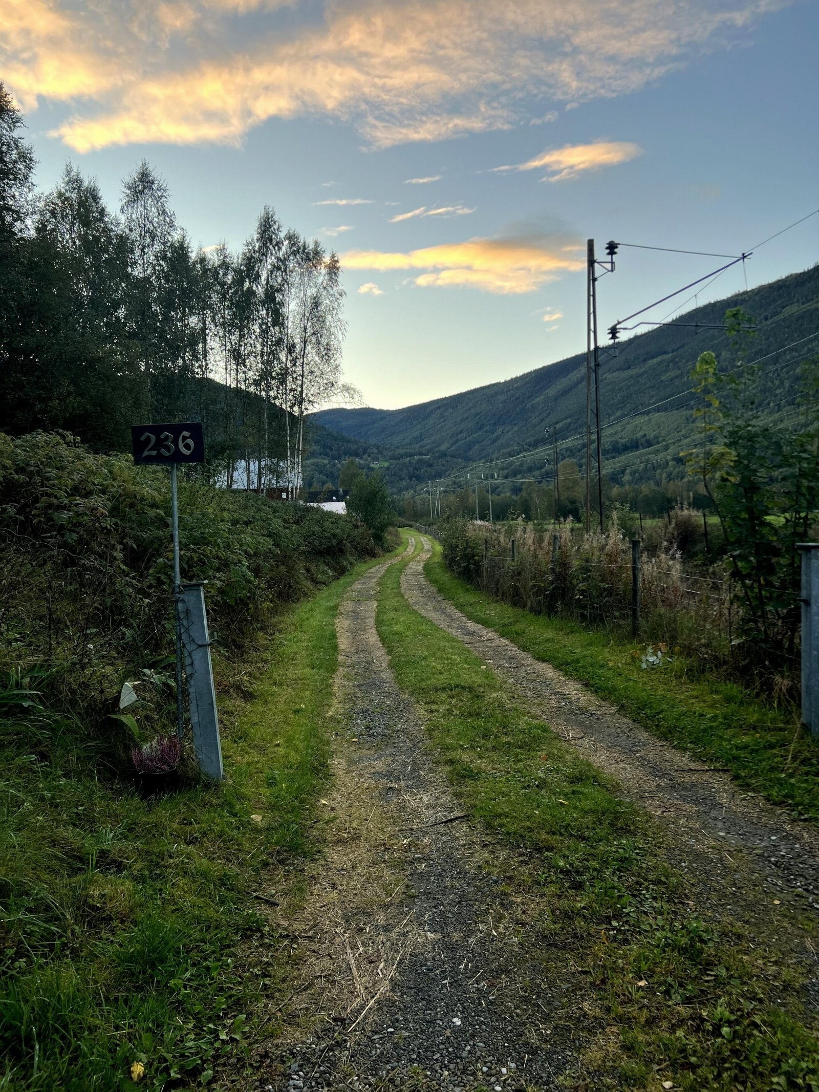 Selgers egne sommerbilder Galleribilde