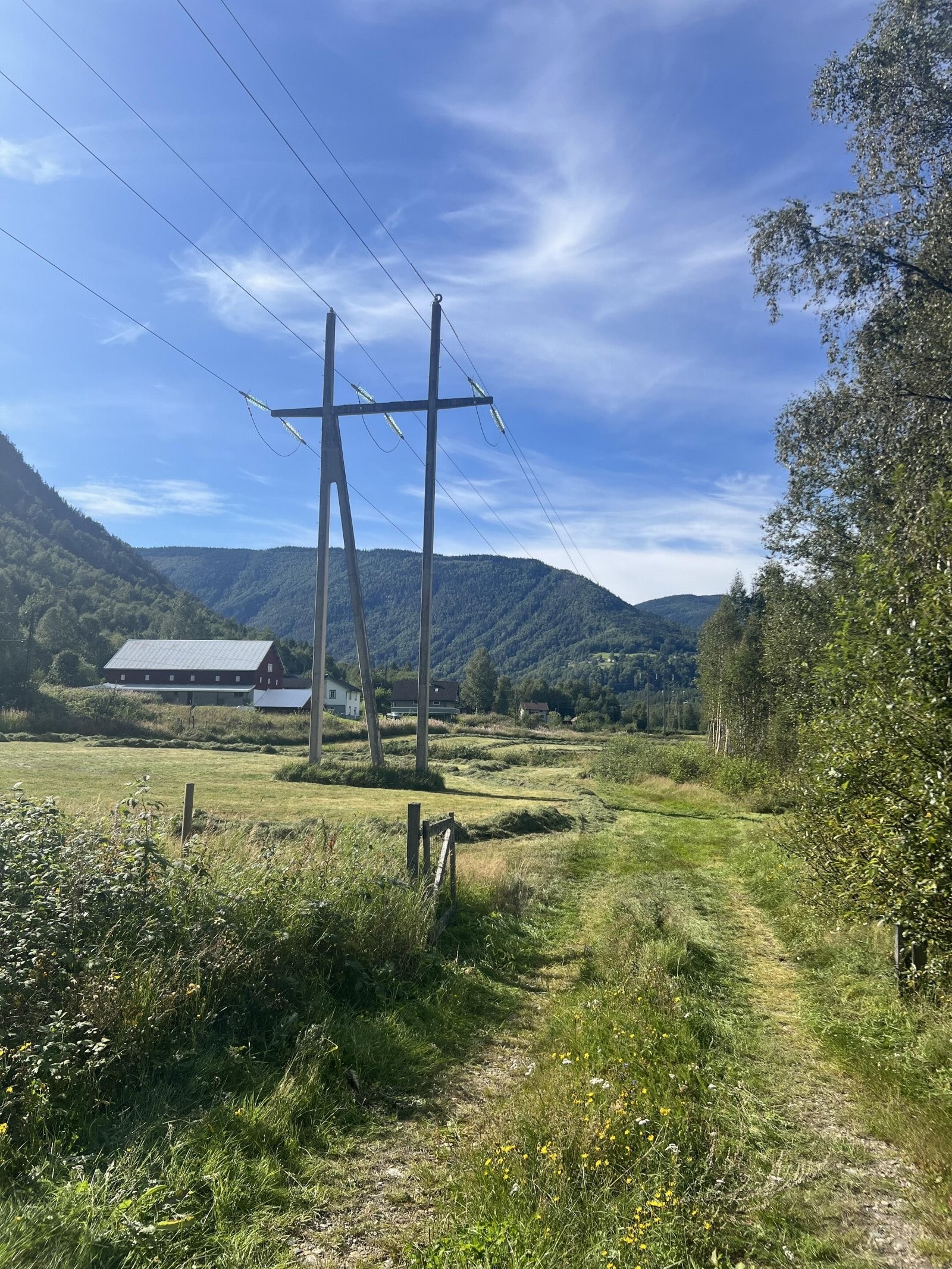 Selgers egne sommerbilder Galleribilde