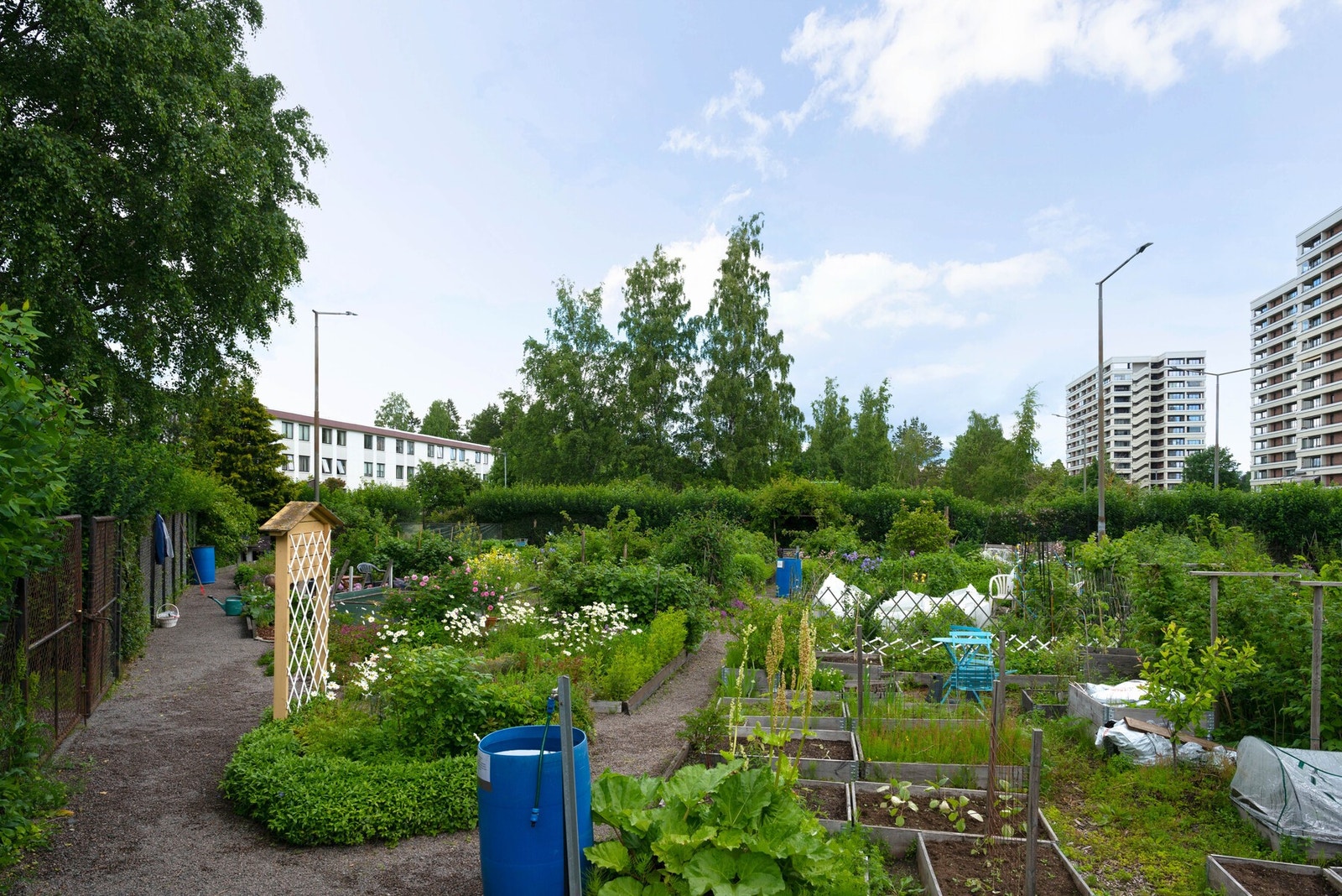 Nærområde. Galleribilde