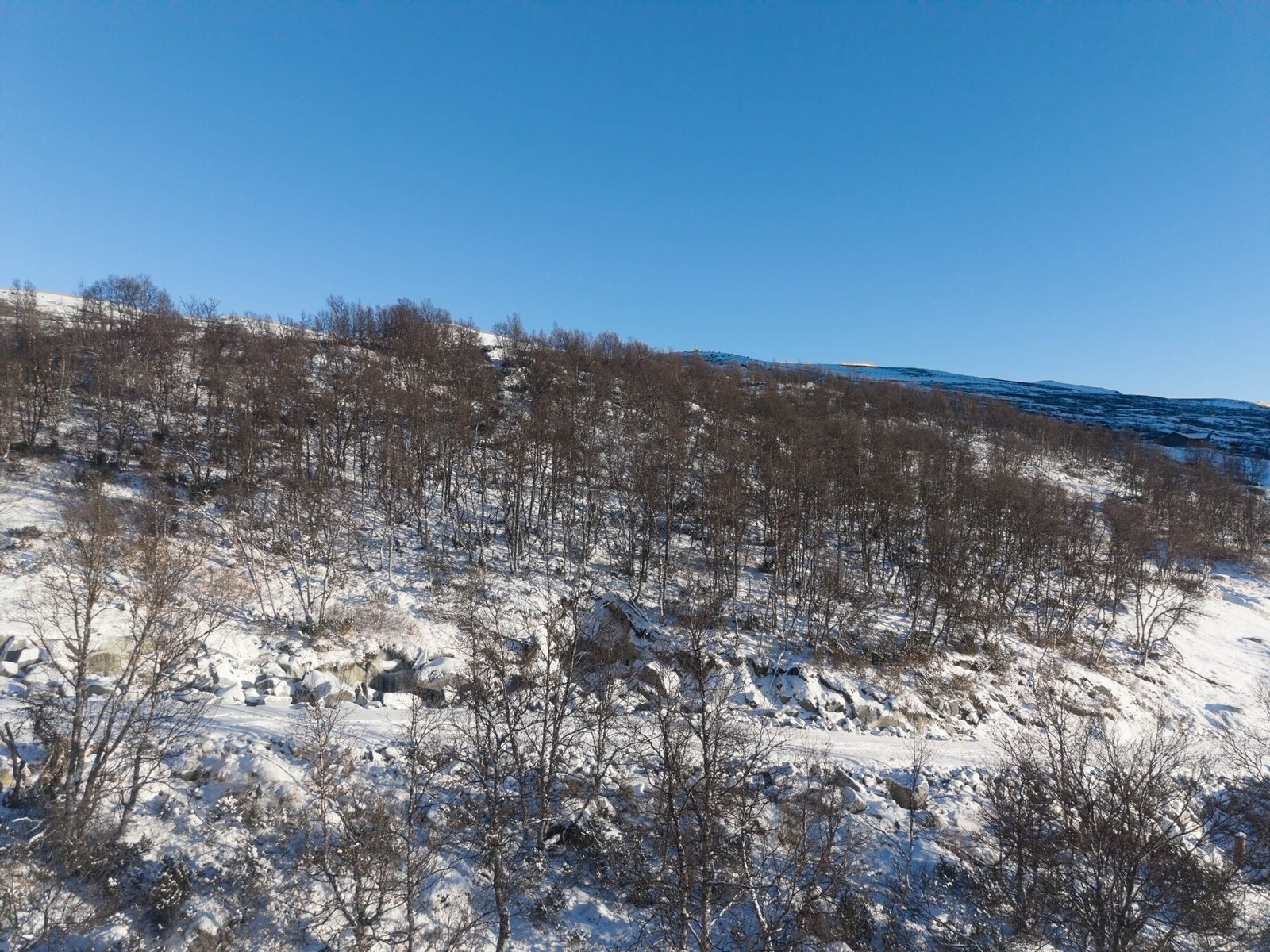 Tomta måler hele 2278 kvm og ligger i et område regulert til spredt fritidsbebyggelse. Galleribilde