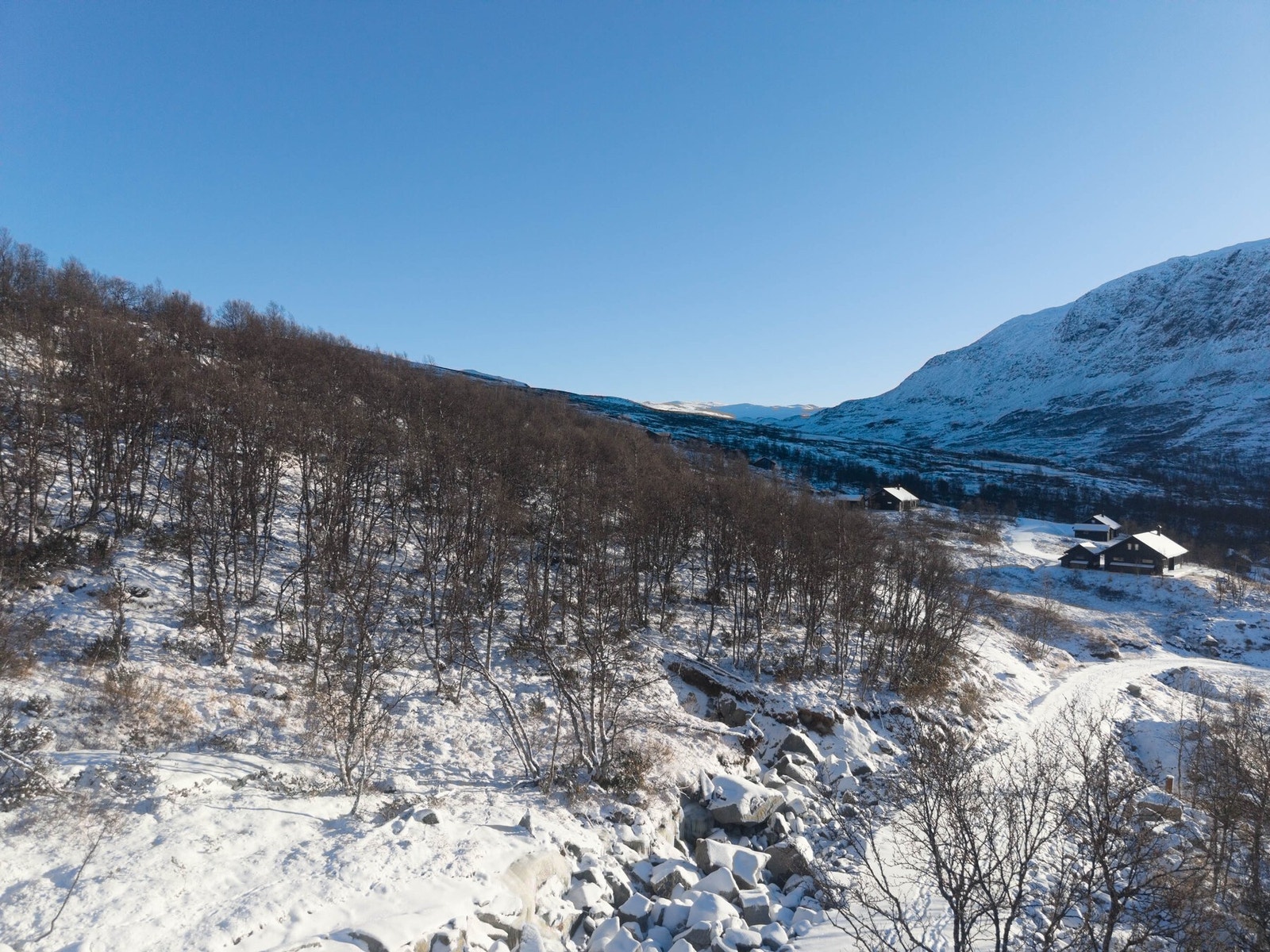 Tomtene i området er av stor størrelse og med god avstand mellom seg. Galleribilde