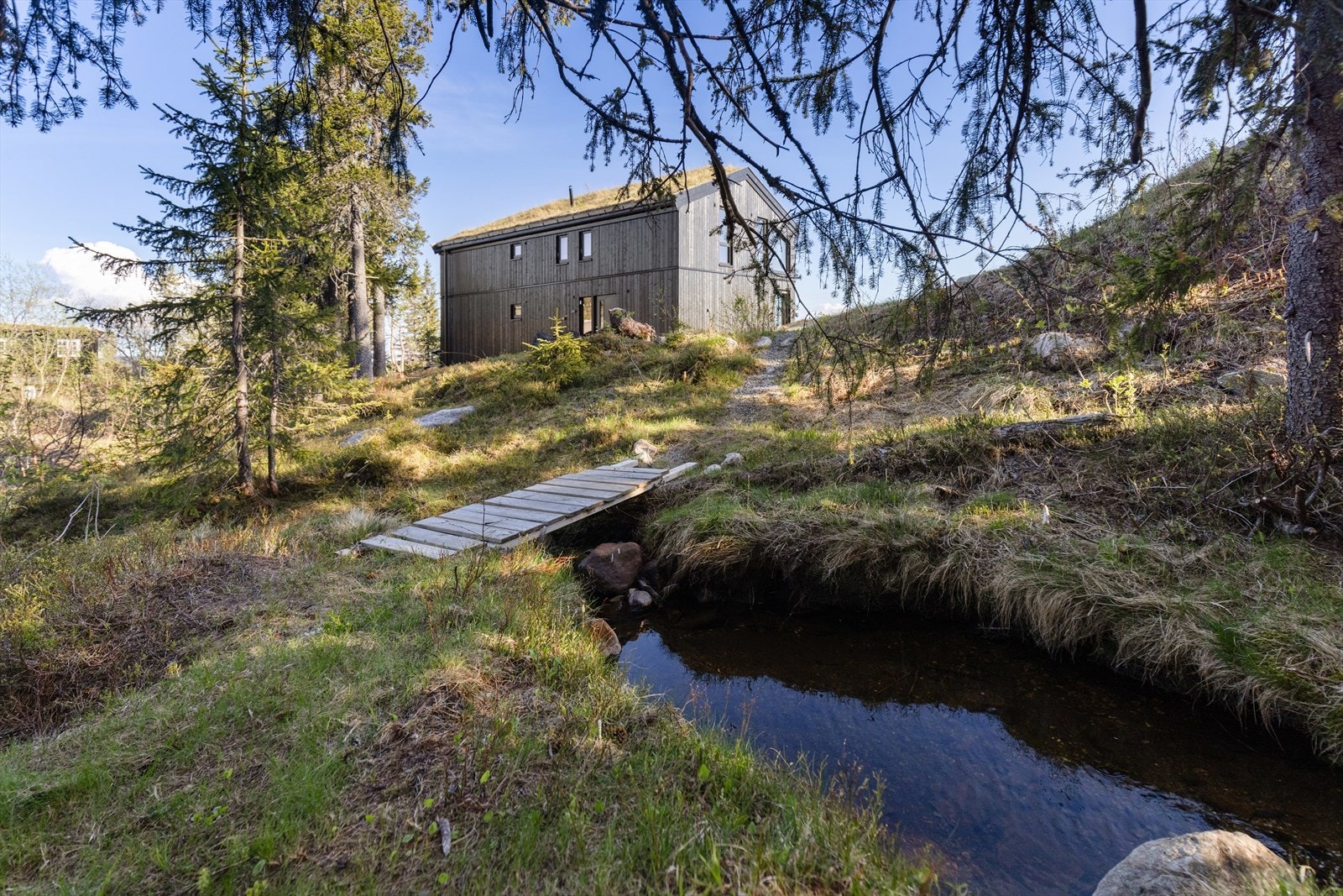 Nydelige områder rundt hytta kan gi flotte minner for både store og små. Galleribilde