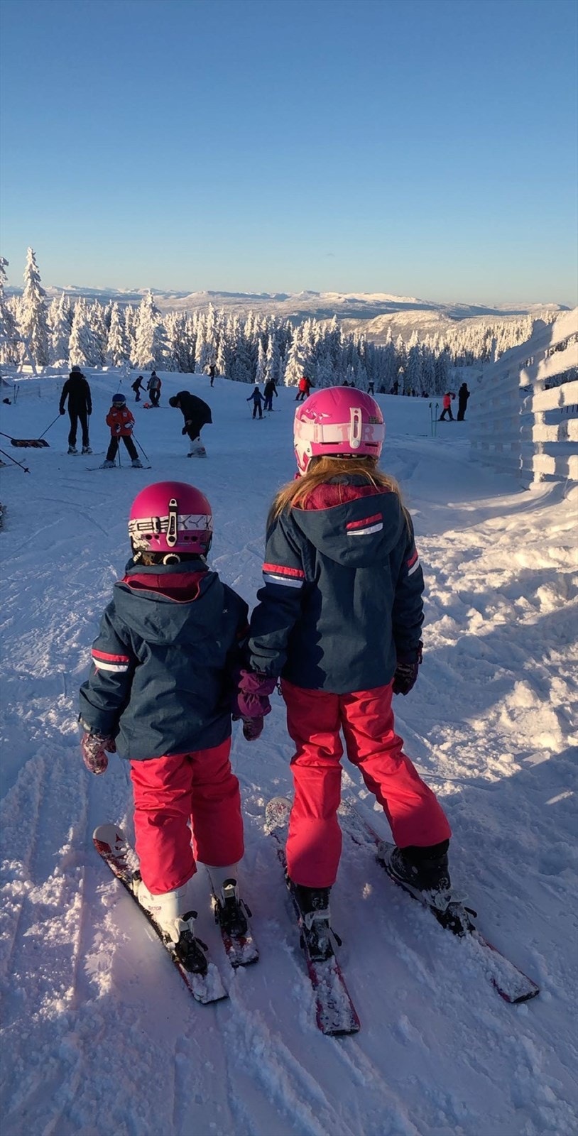 Gratis barnebakke ved Gaiastova - en super mulighet for de minste. Galleribilde