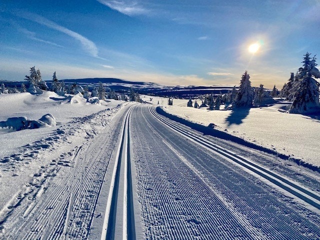 Hafjell er også kjent for sitt fantastiske løypenettverk som strekker seg milevis avgårde. Galleribilde