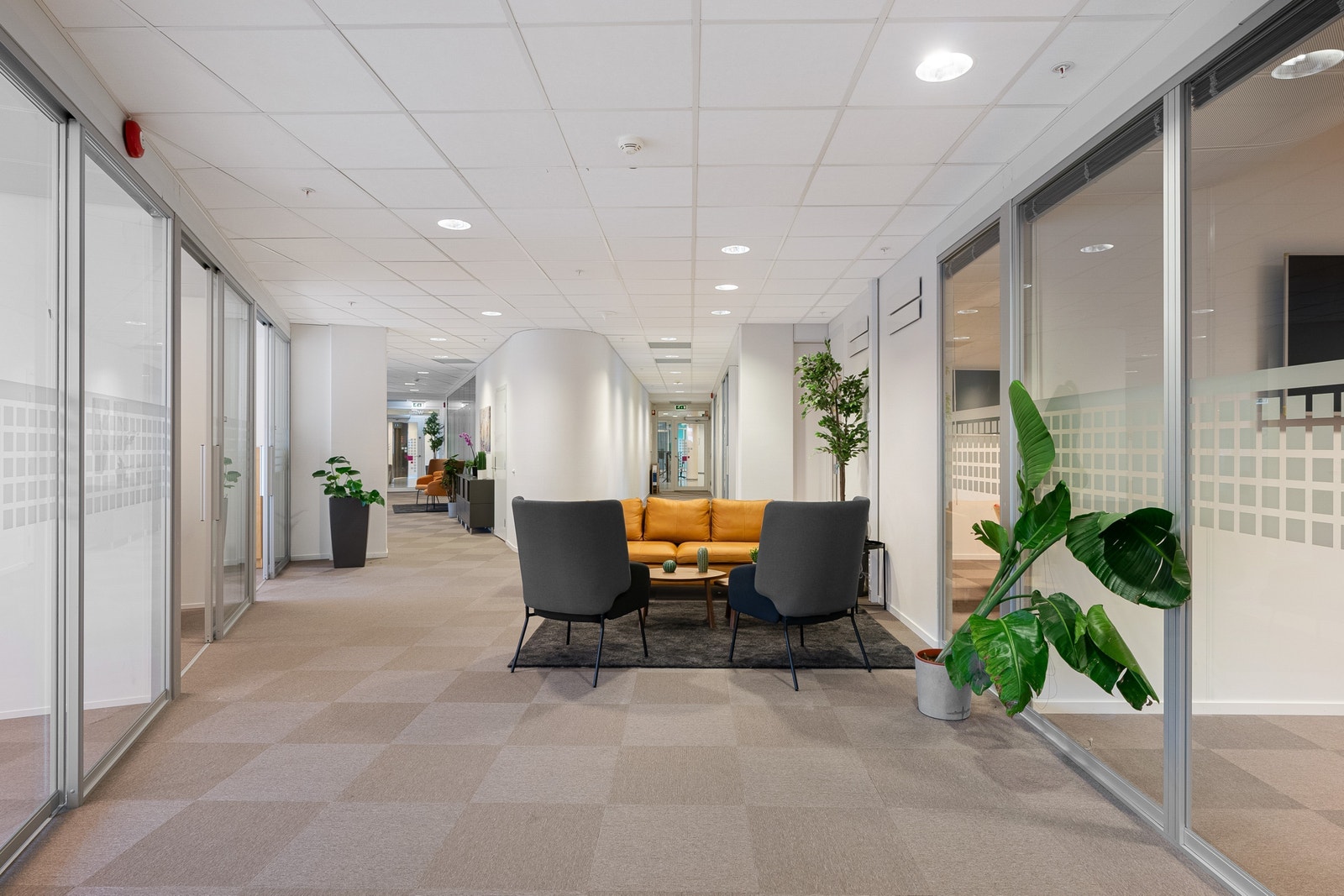 Sosial sone i kontorfellesskapet Galleribilde