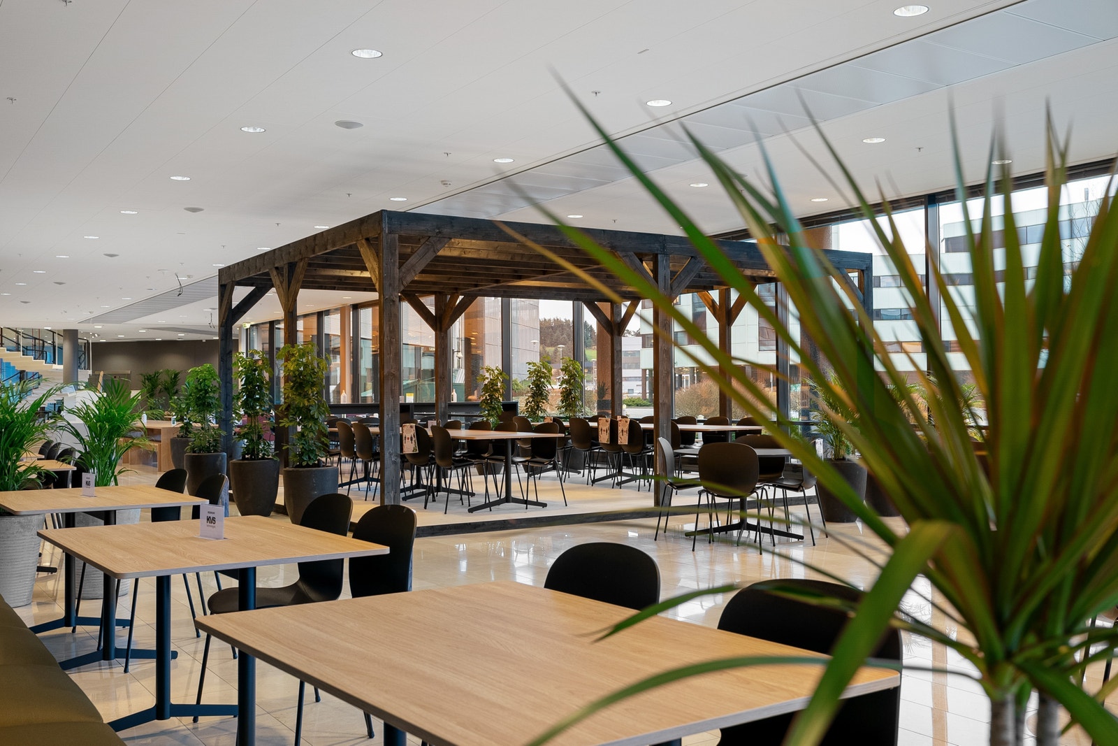 Kantine Galleribilde