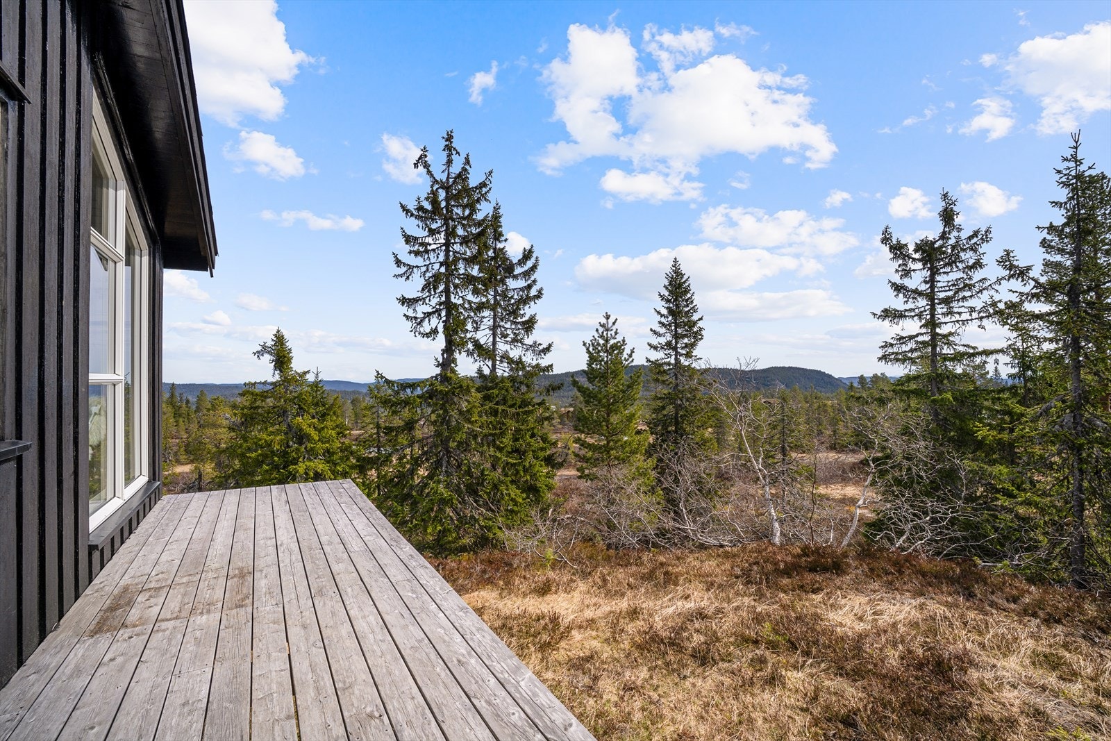 Uteplassen foran hytta, mot syd. Galleribilde