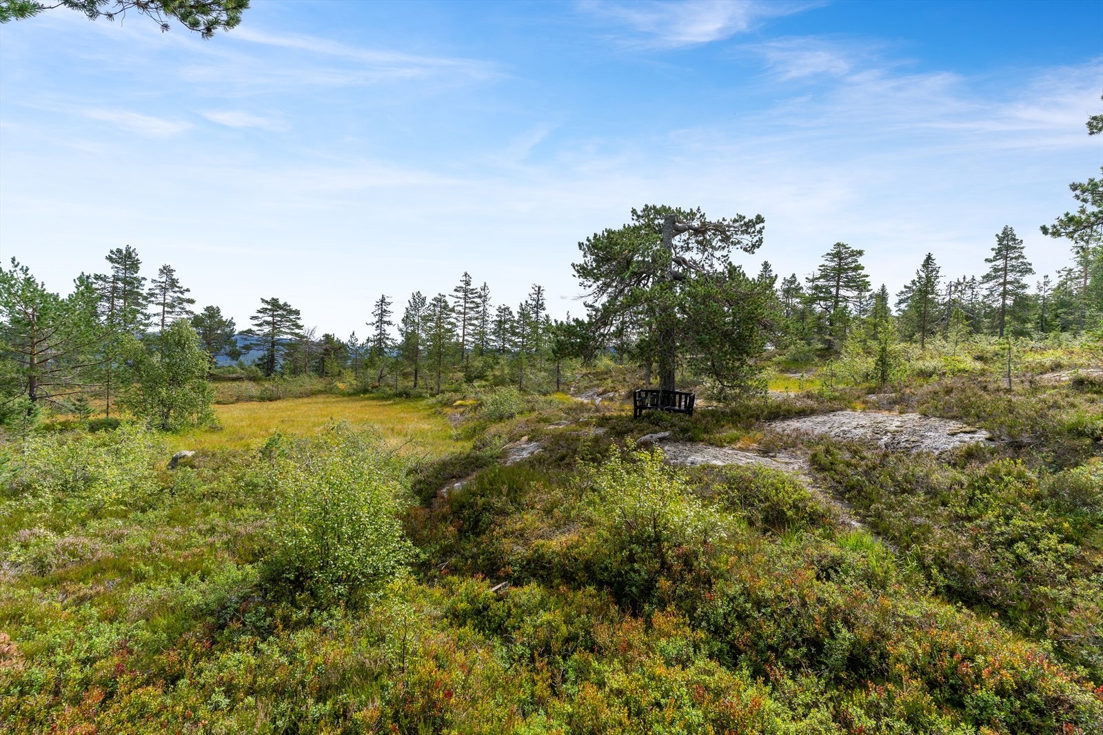Utsiktsbilde fra terrassen. Helt usjenert, og tett på naturen og fjellet. Galleribilde