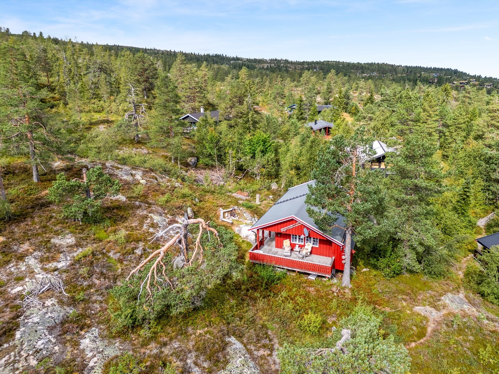 Tomten er i sin helhet en naturtomt med synlig fjell, lyng, busker og trær. Galleribilde