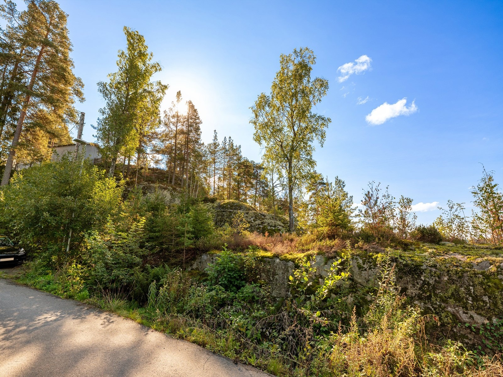 Tomten ligger i et skrånende terreng med gode solforhold. Galleribilde