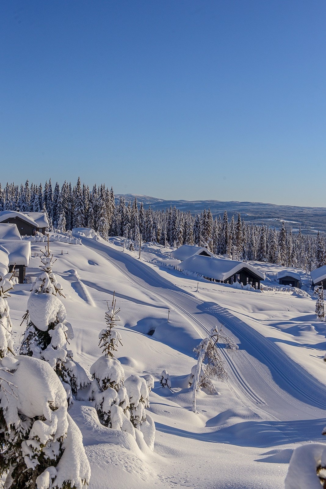 Velpreparert langrennsløype like ved tomten Galleribilde