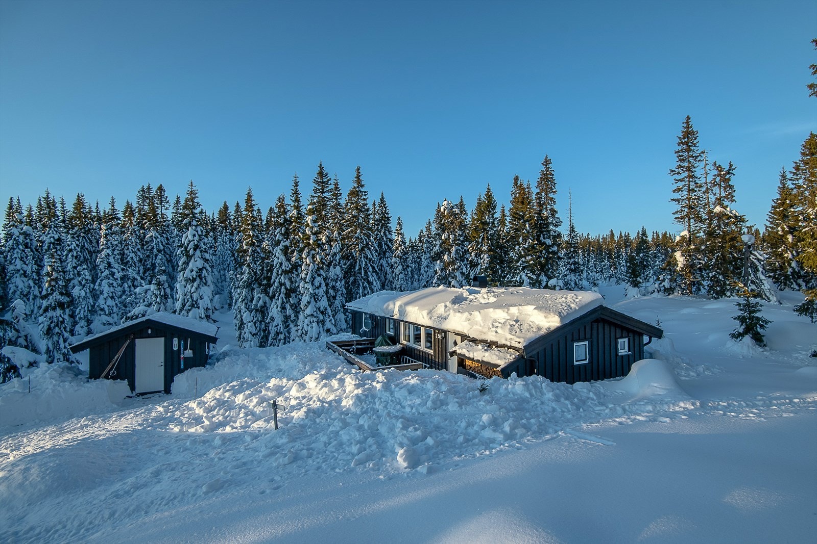 Velkommen til Sjusjøen-Brøttum 2507! Koselig hytte med frittstående utebod. Galleribilde