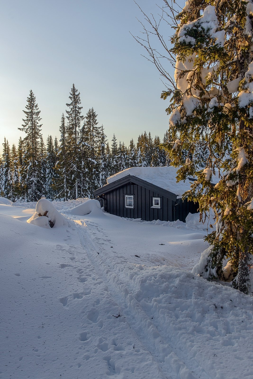 Her kan du ta på deg skiene rett utenfor døra og ta fatt på et fantastisk løypenett. Galleribilde