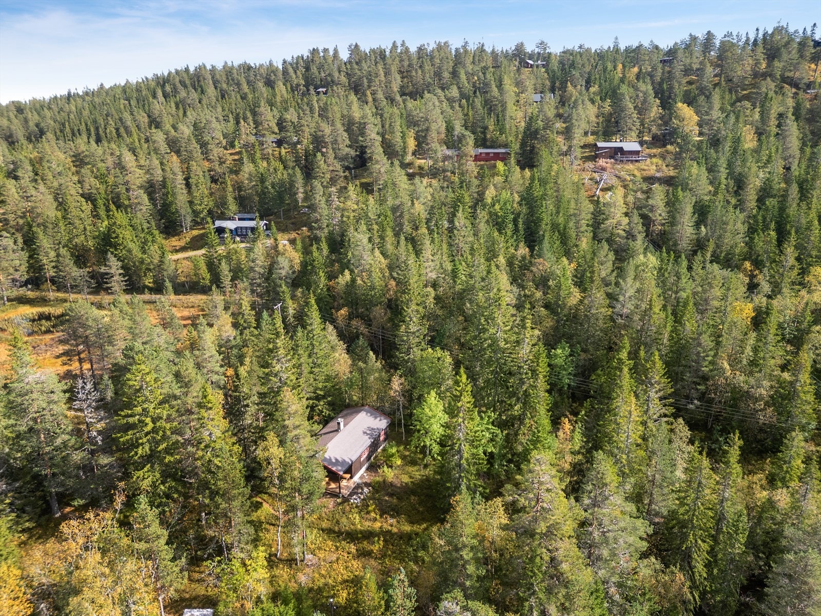 Her får du et lunt og fredelig fristed - perfekt for naturopplevelser året rundt. Galleribilde