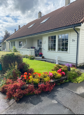 Sommerbilde. Galleribilde